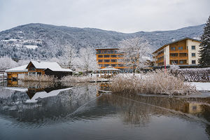 Accogliente, in posizione panoramica fronte lago