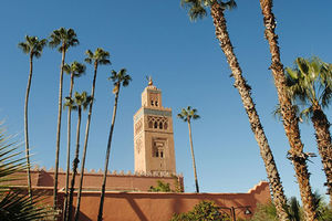 Da Marrakech a Fez: un tour tra le meraviglie del Marocco