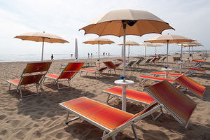 Fronte mare, in una pineta secolare