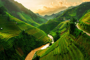 Vietnam autentico: tra storia, cultura e meraviglie naturali