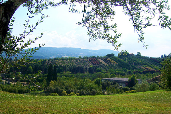 HOTEL PATRIARCA 4* - Chiusi Loc. Querce Al Pino (SI) Tra le colline senesi
