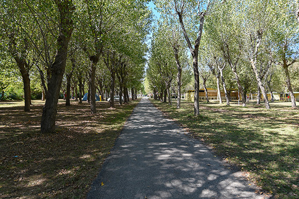 RIMINI FAMILY CAMPING VILLAGE 3* - Sommacampagna (VR)