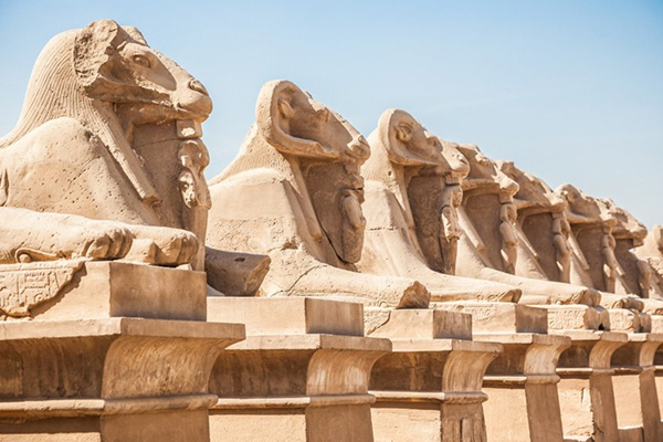 Crociera Horus - (Egitto) Una barriera corallina tra le più belle al mondo