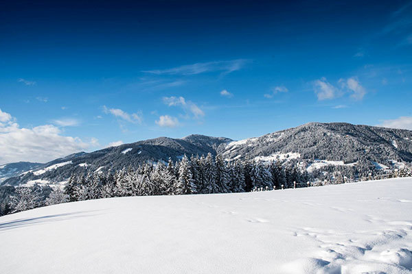 HOTEL ALPENWELT 3* - Flachau (Salisburghese, Alta Austria e Tirolo - Austria)