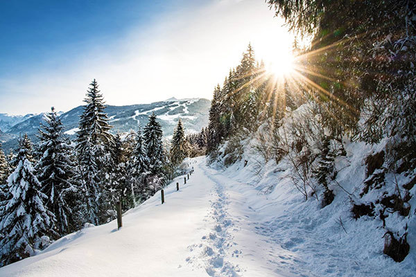 HOTEL ALPENWELT 3* - Flachau (Salisburghese, Alta Austria e Tirolo - Austria)
