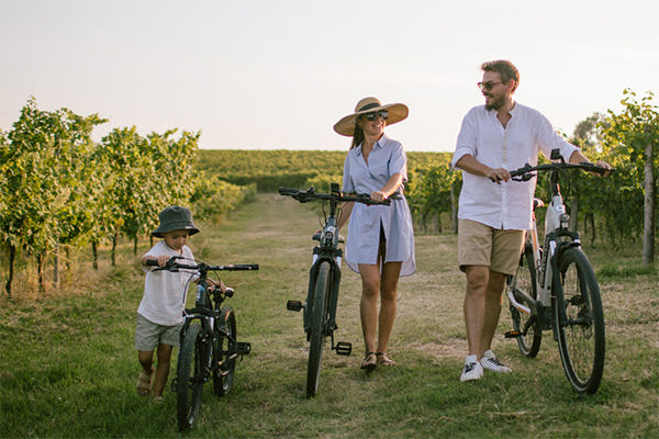 Il fascino del Lago di Garda in e-bike