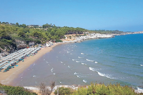 A 1,8 km dalla spiaggia, servizio navetta incluso