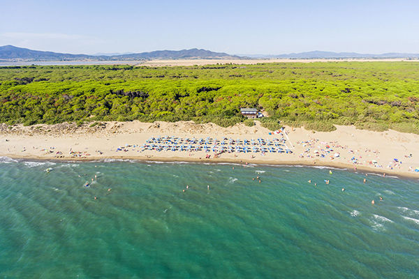 Fronte mare, nel cuore della pineta della Maremma Grossetana