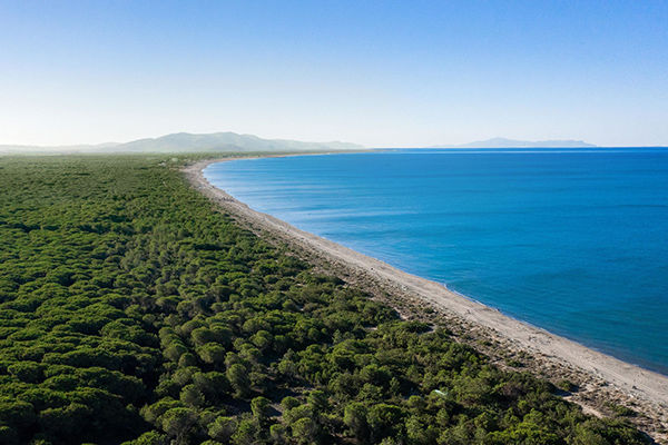 Fronte mare, nel cuore della pineta della Maremma Grossetana