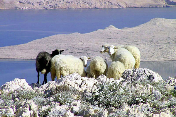 BADEKREUZFAHRT ROUTE R1 3* - Traù (Spalatino-dalmata - Croazia)