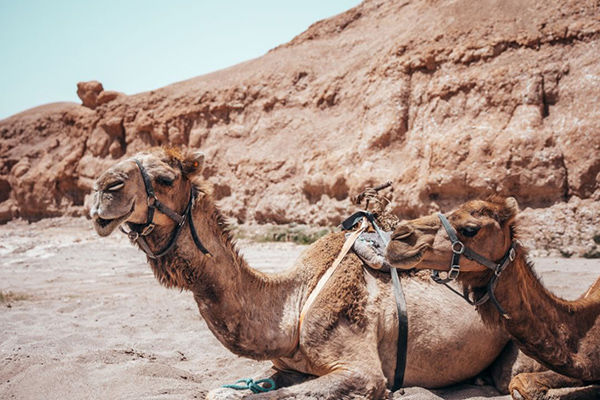 Marocco autentico: un viaggio tra storia, colori e deserto