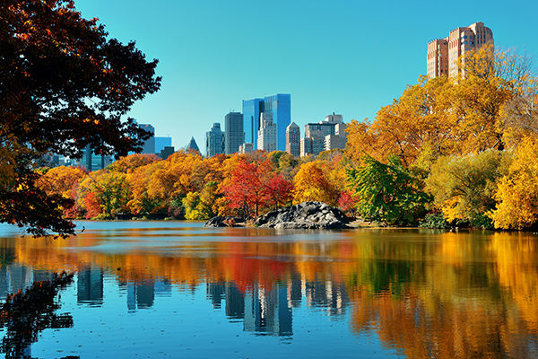 La magia dell'autunno a New York