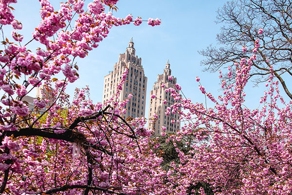 Alla scoperta di New York: da Central Park a Brooklyn