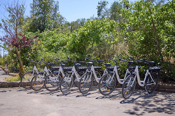 Nel suggestivo paesaggio della Maremma Toscana