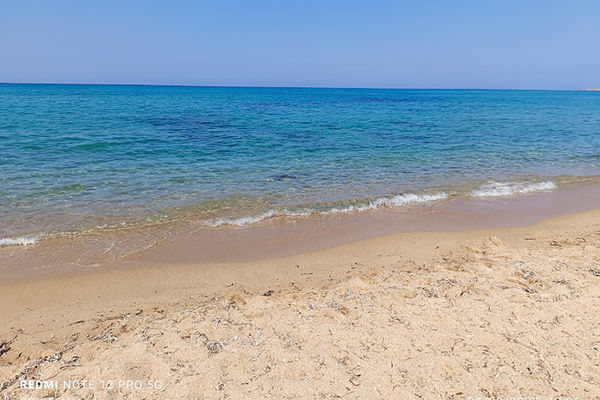 Immerso in un bosco di 9 ettari