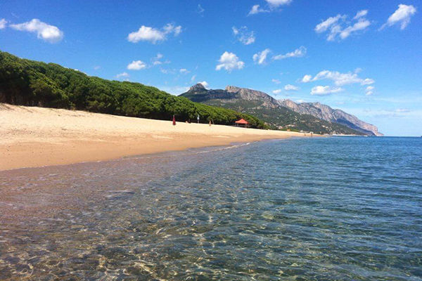 Camping Iscrixedda  - Lotzorai (OG) Relax tra le più belle spiagge della Sardegna