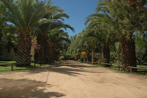 Camping Iscrixedda  - Lotzorai (OG) Relax tra le più belle spiagge della Sardegna