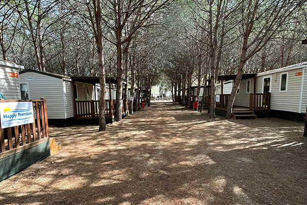 Camping Iscrixedda  - Lotzorai (OG) Relax tra le più belle spiagge della Sardegna