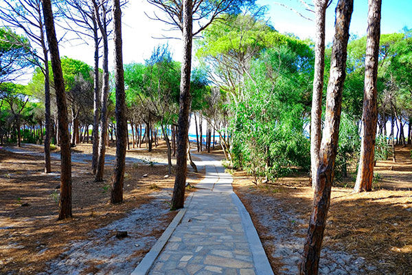 SELEMA CAMPING  - Siniscola (NU) Affacciato sulla rinomata spiaggia di Santa Lucia