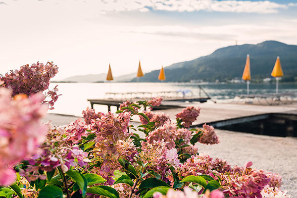 Benessere e confort fronte lago