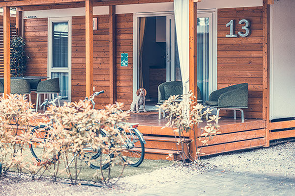 Incastonato nella pineta, a 200 metri dal mare