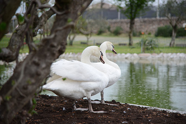 2.500 mq di wellness in Valpolicella
