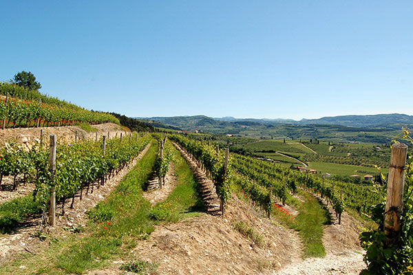 2.500 mq di wellness in Valpolicella