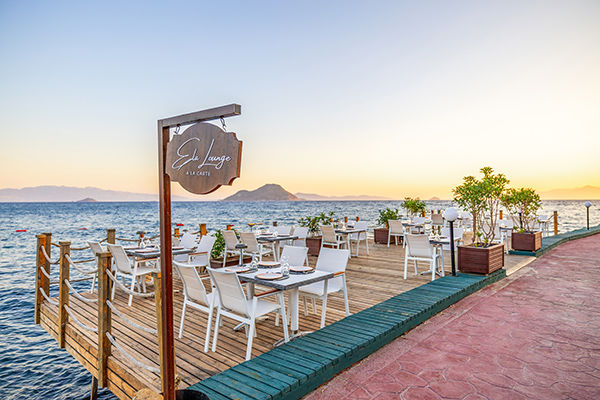 Dove il blu del mare incontra i tuoi sogni d'estate