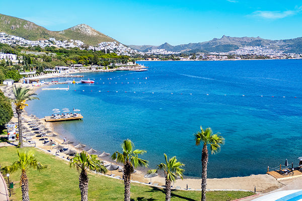 Dove il blu del mare incontra i tuoi sogni d'estate