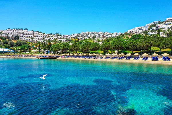 Dove il blu del mare incontra i tuoi sogni d'estate