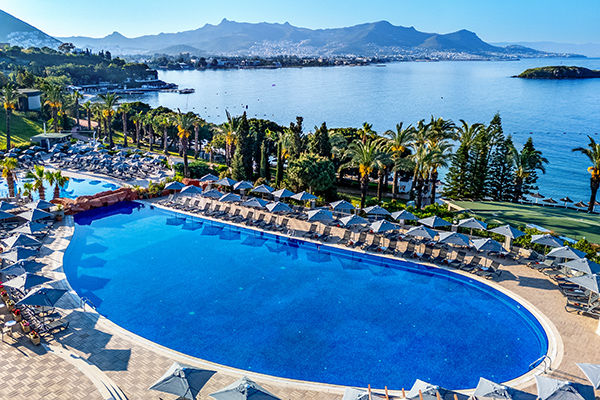 Dove il blu del mare incontra i tuoi sogni d'estate