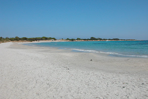 Immerso nel verde, sul Golfo di Orosei