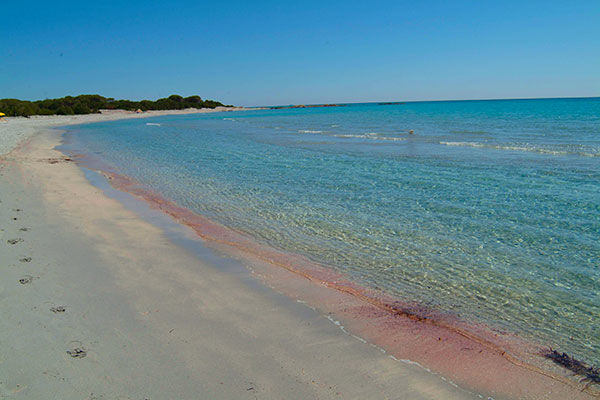 Immerso nel verde, sul Golfo di Orosei