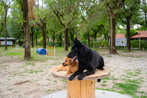 Incastonato nella pineta, a 200 metri dal mare