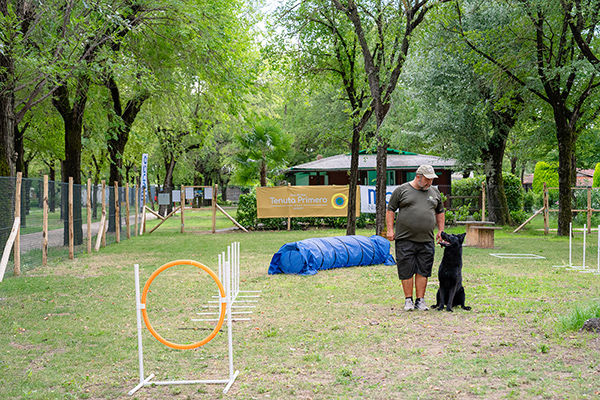 Incastonato nella pineta, a 200 metri dal mare