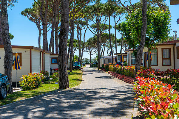 Area wellness di 1.840 mq e parco acquatico di 3.200 mq