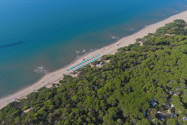 Fino a 6 posti letto, direttamente sul mare