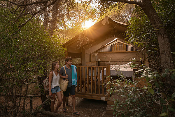 Fino a 6 posti letto, direttamente sul mare