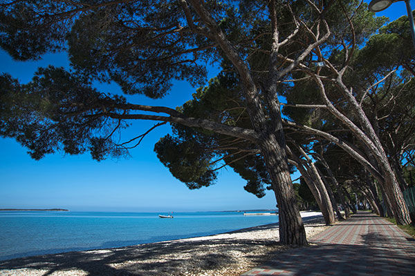 Vista panoramica sull'arcipelago delle incantevoli Isole Brioni