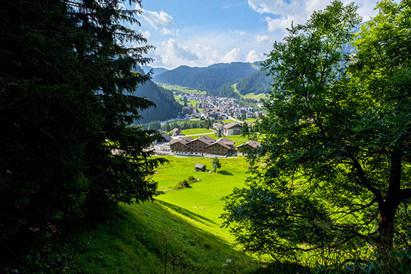 Alle pendici del Sassongher