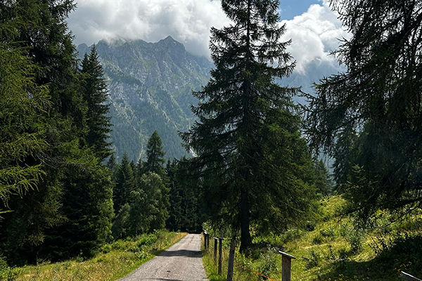 Calore e accoglienza trentina