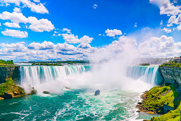 Tra metropoli, orsi, balene e cascate mozzafiato