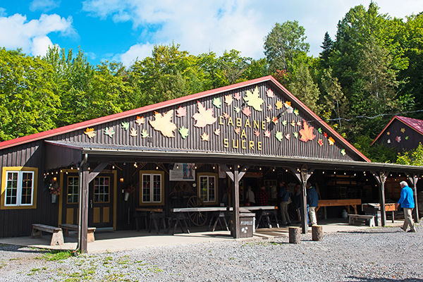 Tra metropoli, orsi, balene e cascate mozzafiato