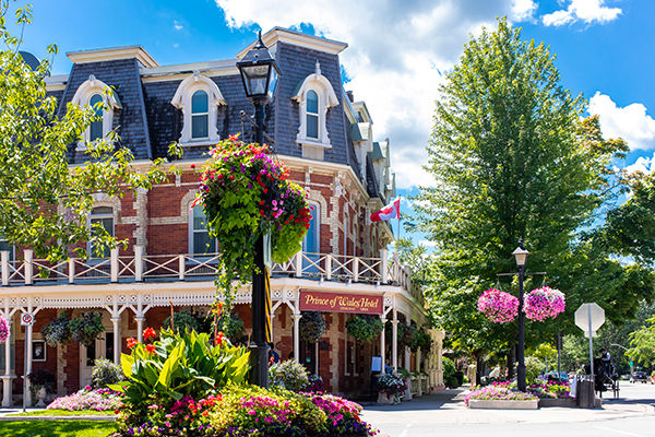 Tra metropoli, orsi, balene e cascate mozzafiato