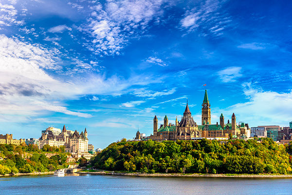 Tra metropoli, orsi, balene e cascate mozzafiato