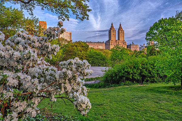 Alla scoperta di New York: da Central Park a Brooklyn