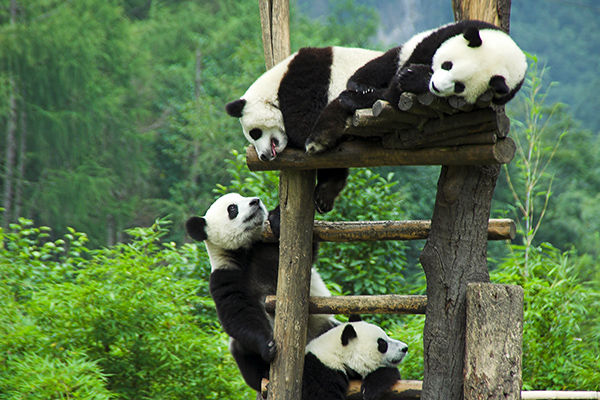 La Cina più autentica