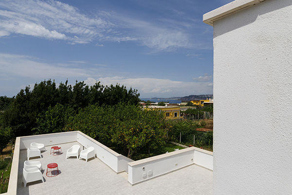 Tra i limoneti con vista sul mare di Procida