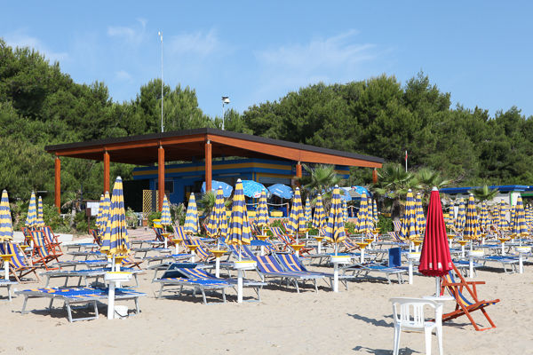 Tra 400 ulivi secolari, a 3 km dal mare della Costa del Cerrano