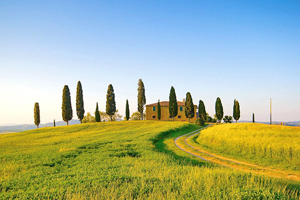 FATTORIA CASTIGLIONCHIO - Rignano sull'Arno Fattoria tra i vigneti vicino a Firenze